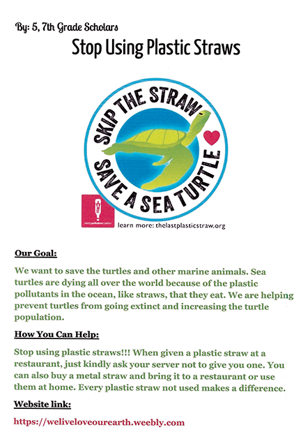 Skip The Straw Save A Sea Turtle Fairhaven Neighborhood News