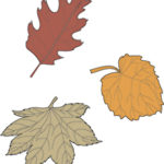 Leaf Collection