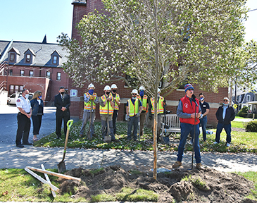 New tree warden celebrates Arbor Day by planting 12 trees - Fairhaven ...