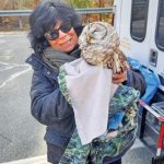 Rescued owl in Acushnet had to be euthanized