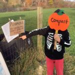 Pumpkins Please
